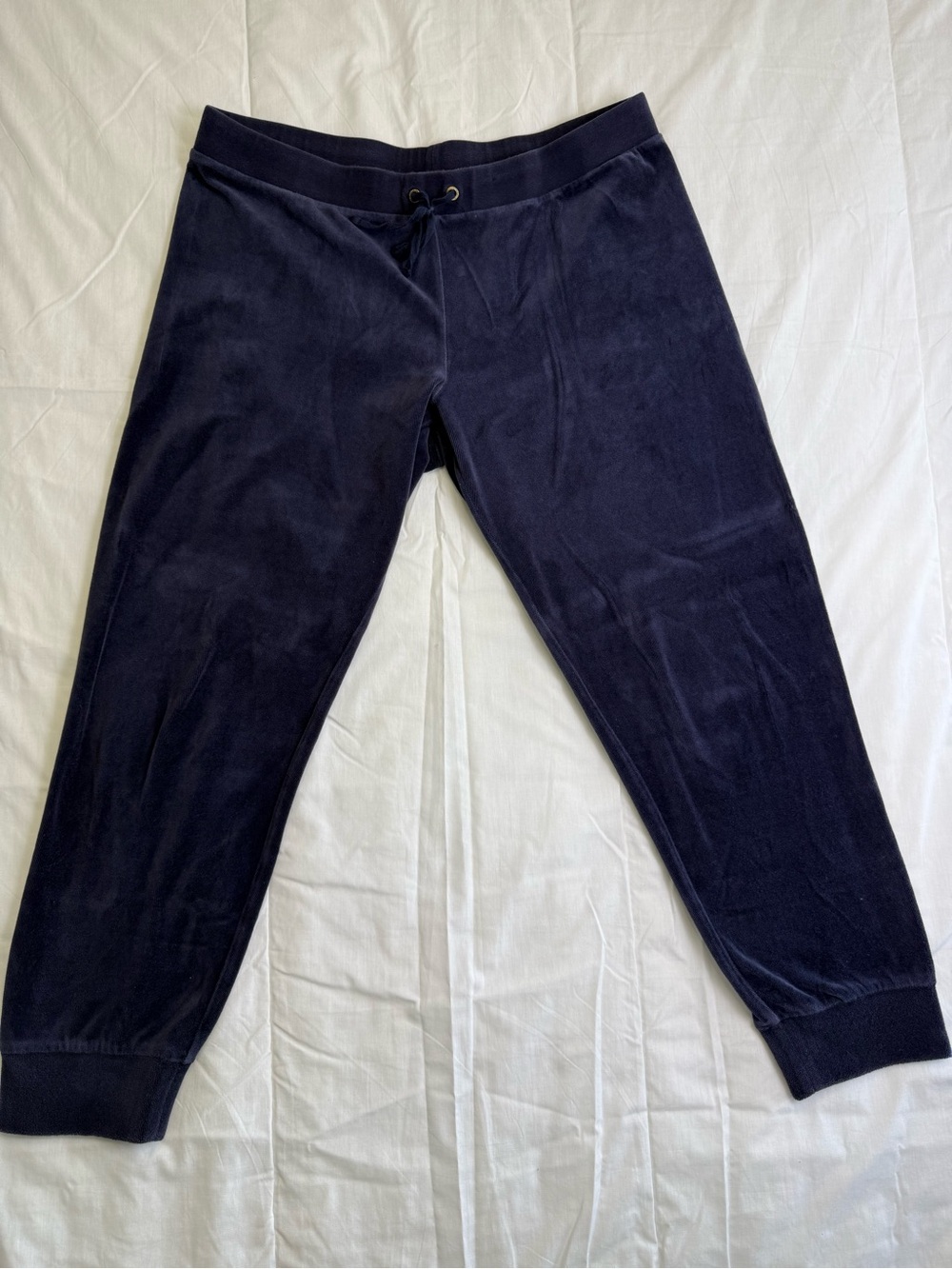 Juicy Couture Women’s Blue Velour Jogger Pants L Drawstring Logo Pockets